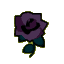 Black Roses CF Icon.png