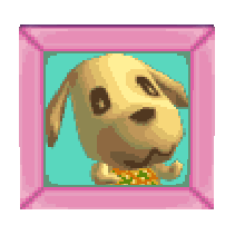 Goldie's pic (Wild World) - Animal Crossing Wiki - Nookipedia