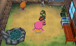 Interior of Wart Jr.'s house in Animal Crossing: Wild World
