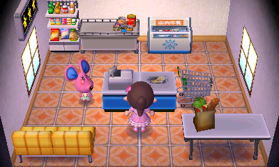 Interior of Candi's house in Animal Crossing: New Leaf