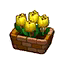 Yellow Tulips HHD Icon.png