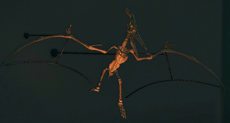 Pteranodon, Dinosaur Wiki