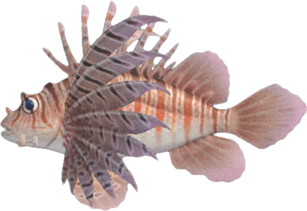 Artwork of Zebra Turkeyfish