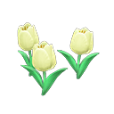 White-tulip plant
