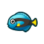 Surgeonfish NBA Badge.png