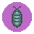 pill bug