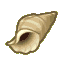 Conch CF Icon.png