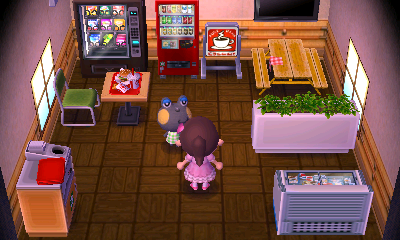 Interior of Huck's house in Animal Crossing: New Leaf