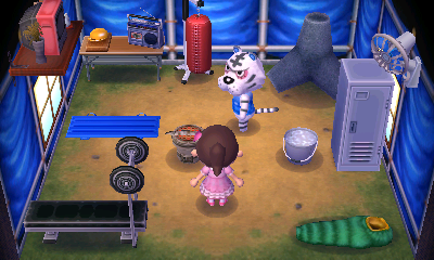 Interior of Rolf's house in Animal Crossing: New Leaf