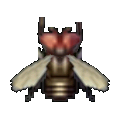 Fly NL Model.png