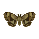 Island Moth PC Icon.png