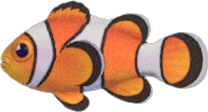 Clown Fish NH.png