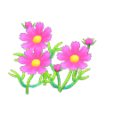 Pink-Cosmos Plant NH Icon.png