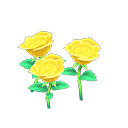 Yellow-rose plant