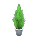 Cypress Plant (White) NH Icon.png