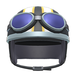 Helmet with goggles