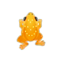 Orange Bewitched Frog PC Icon.png