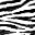 Zebra Print PG Texture.png