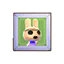 Coco's Pic HHD Icon.png
