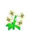 White Lilies NBA Badge.png