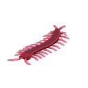 Toy centipede
