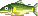 Sweetfish PG Field Sprite.png