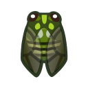 Robust cicada