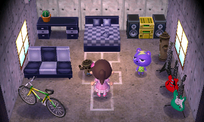 Interior of Static's house in Animal Crossing: New Leaf