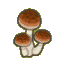 Skinny Mushroom CF Icon.png