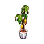 Cacao Tree HHD Icon.png