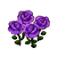 Purple Roses (Outside) HHD Icon.png