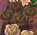 NL Wilted White Roses.png