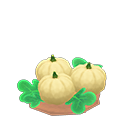 Ripe White-Pumpkin Plant NH Icon.png