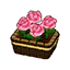 Pink Roses HHD Icon.png