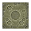 Lunar Surface HHD Icon.png