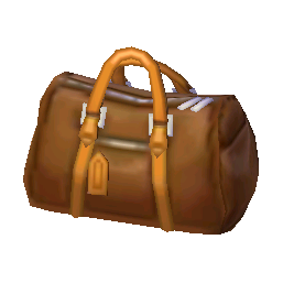 Boston Bag (Brown) NL Model.png