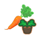 Carrot start