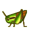 Grasshopper CF Icon.png
