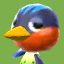Robin's Pic NL Texture.png
