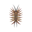 House Centipede HHD Icon.png