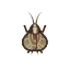 Bell Cricket HHD Icon.png