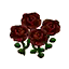 Black Roses (Outside) HHD Icon.png