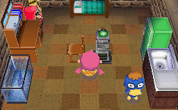 Interior of Derwin's house in Animal Crossing: Wild World