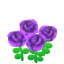 Purple Roses NBA Badge.png