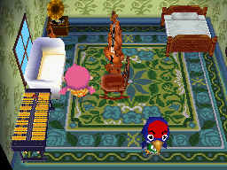 Interior of Jay's house in Animal Crossing: Wild World