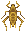 Artwork of Pine Cricket