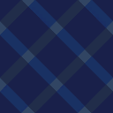 Checkered 1 - Fabric 18 NH Pattern.png