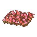 Pink Poppy Patch PC Icon.png