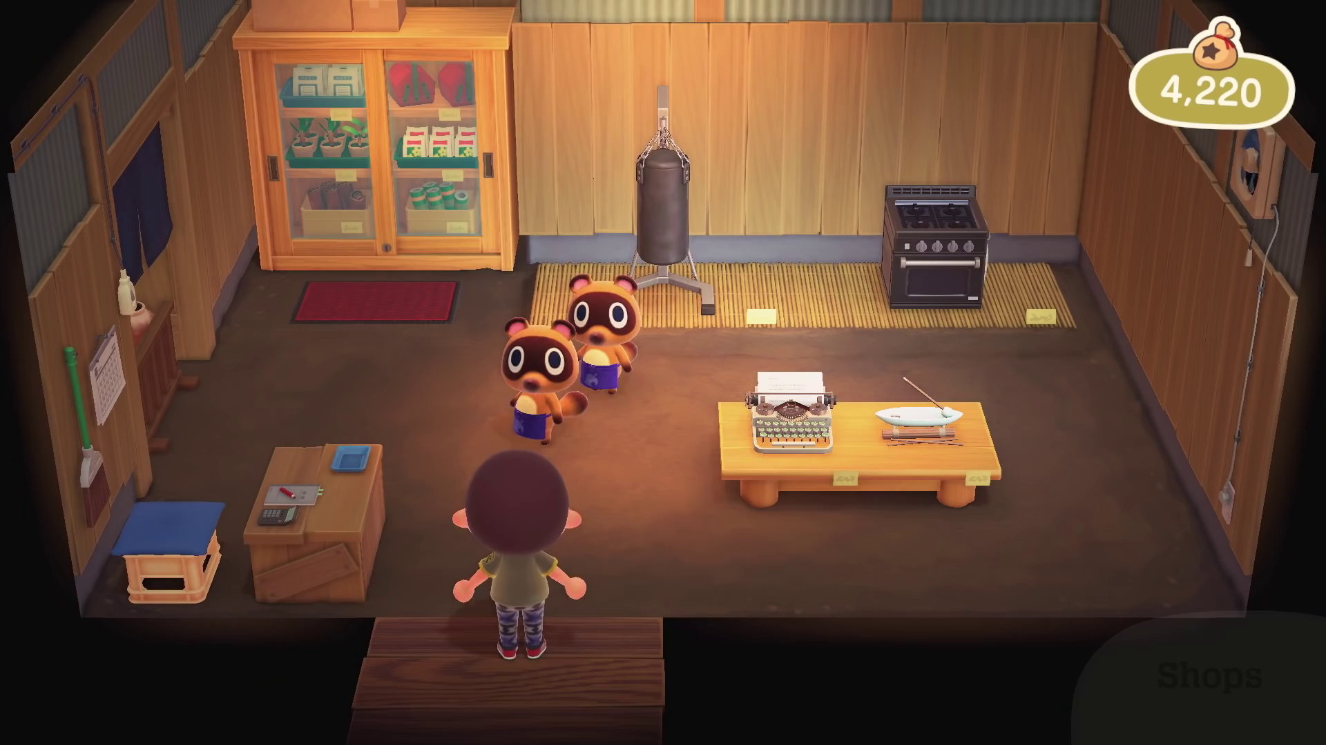 FileNH Nook's Cranny Interior.png Animal Crossing Wiki Nookipedia