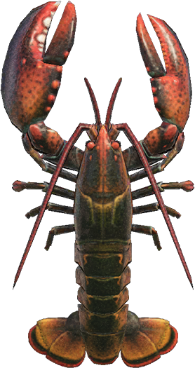 Lobster - Animal Crossing Wiki - Nookipedia